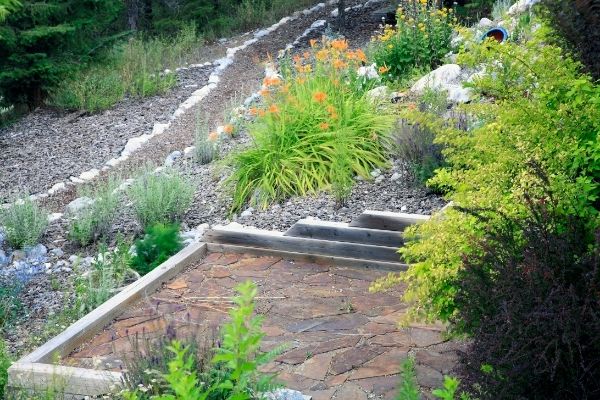 What Is Xeriscaping Santa Fe Landscape Pros