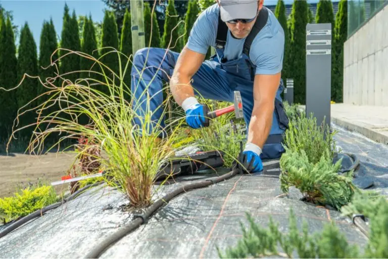 gardener installing irrigation system pipeline