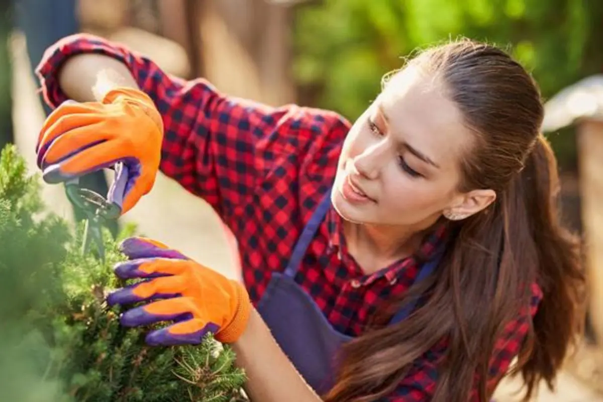 woman maintaining the landscape natural beauty