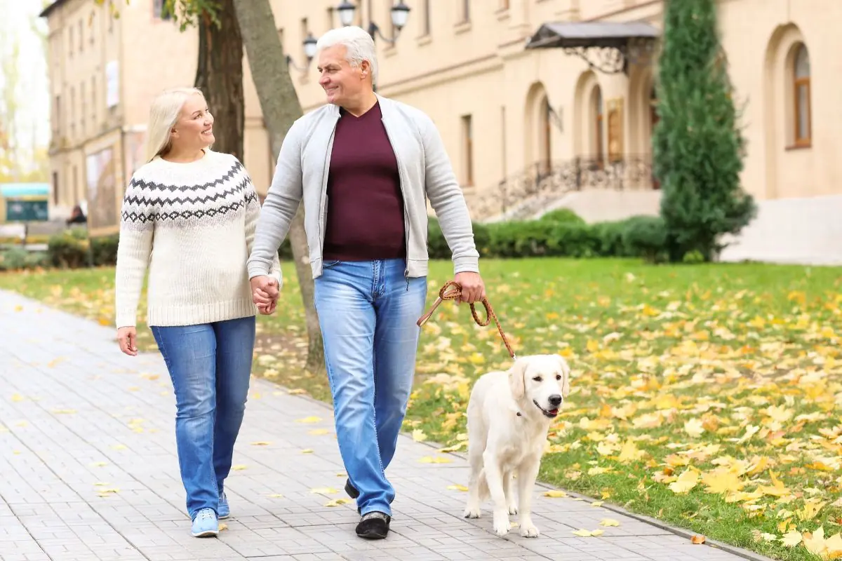 elderly couple walking their dog outdoors